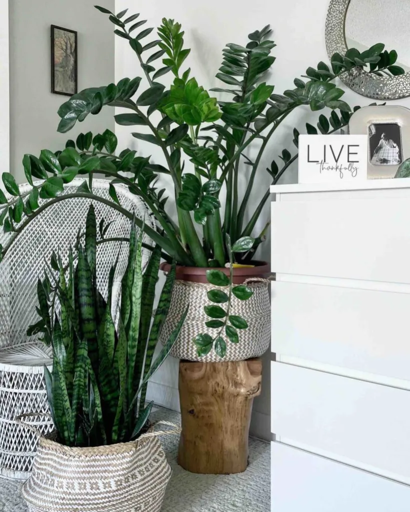 transform living space
